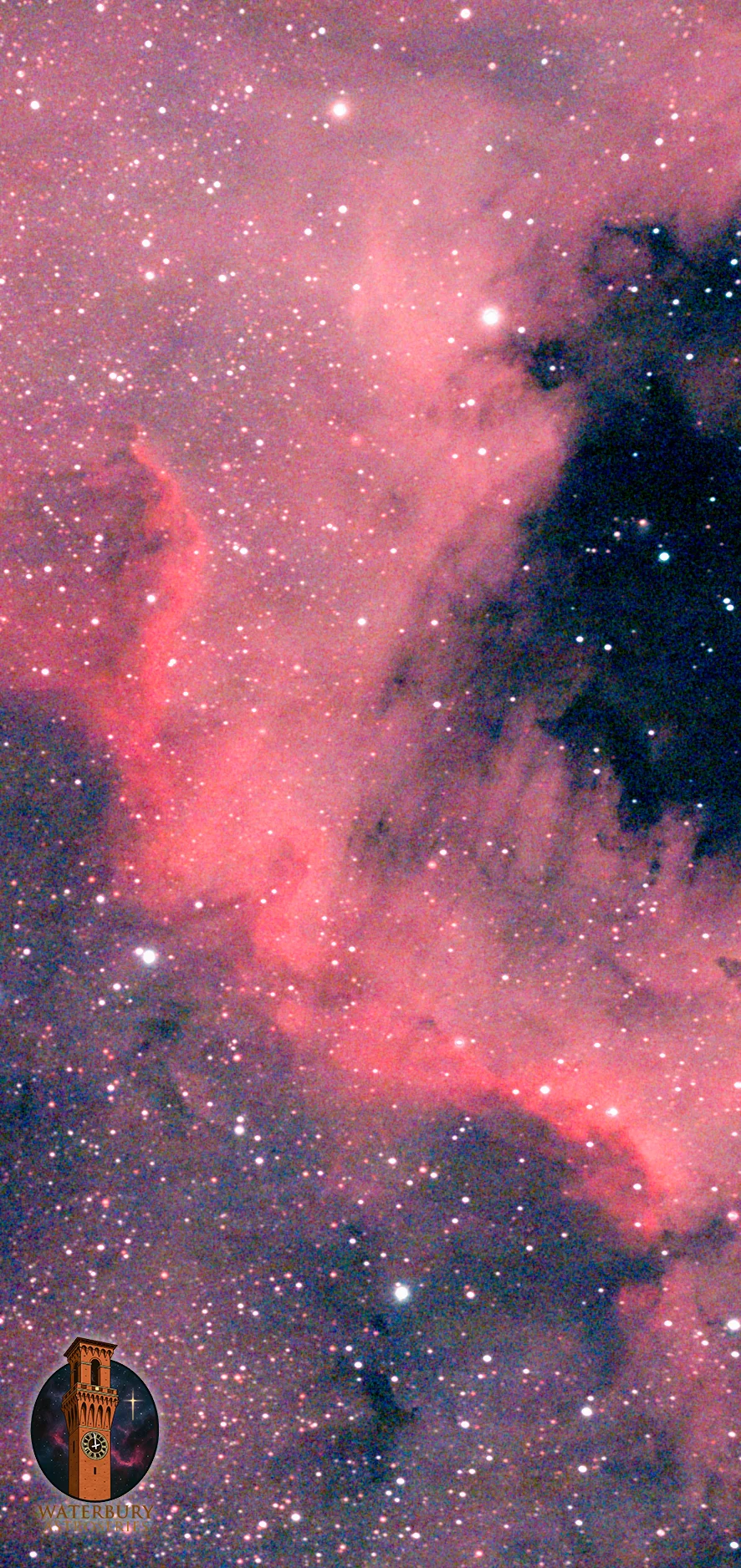 Figure 20 | The Cygnus Wall of the North America Nebula (NGC 7000). Photographed by dark|SKY Committee Chair, Connor Hodgkins `28, after the Fall Fest, 10/18/2026, from Holy Cross High School, Waterbury, CT. The image was taken using a ZWO Seestar s50 (f/5 at 250 mm focal length) on an equatorial mount tracking the sky at sidereal rate. Light pollution was minimized with the built-in light pollution filter. 143 of the best 30s exposures were integrated by ChatGPT (yes, it can do image processing now—though it needs some manual tweaking) for a total of 71.5 min of data; the output TIFF was then stretched in Adobe Photoshop CC v. 27.11.0. The mark in the bottom left is the logo of the Waterbury Astroseries, an initiative within the Science Academy at Holy Cross High School to bring the wonders of Waterbury's night sky back to our community and peers.