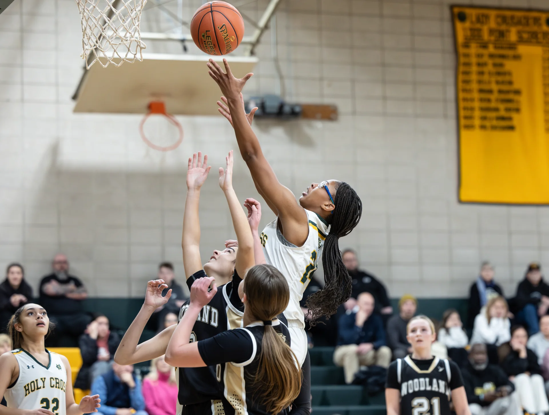 Hcwood25 8637 Enhanced Nr.webp